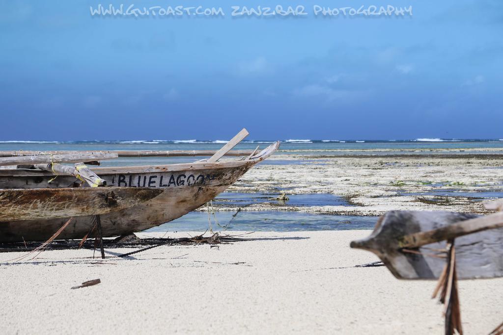 Hotel Albatross Ocean View Dongwe Exteriér fotografie